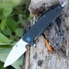 Artisan Cutlery Artisan Predator ATZ1706PBK, 3.74" D2 Steel, Black G-10 Handle