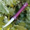 Artisan Cutlery Artisan ATZ1805GREM S Waistline, 4" M390 Plain Blade, Purple Titanium Handle