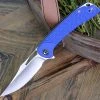 CIVIVI Knives CIVIVI Dogma-Blue G10 (3.46" Satin D2) C2005C