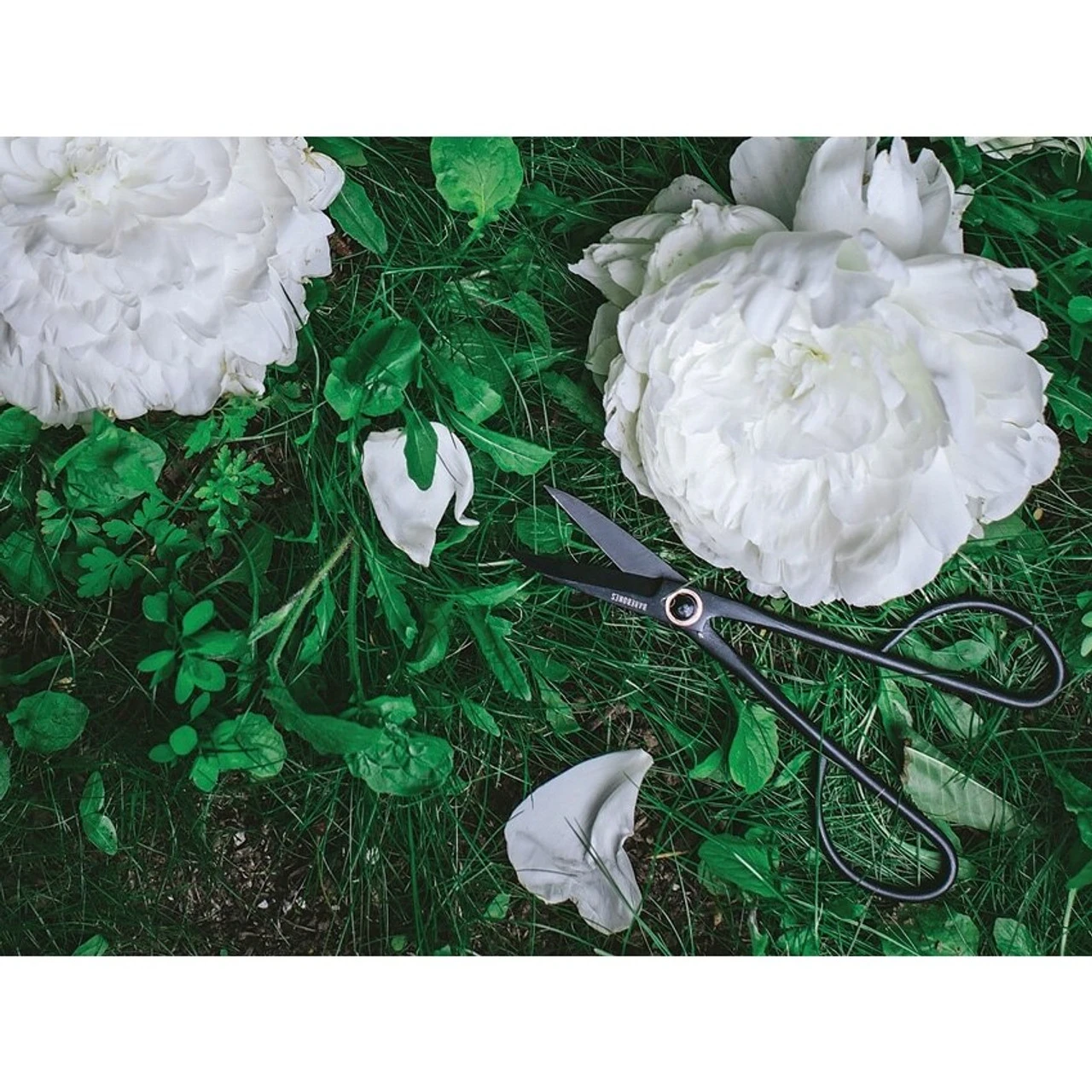 BareBones Living Artisan Pruning Shears, 2" Black Stainless Blades, , Black Stainless Handles 2 BareBones Living Artisan Pruning Shears, 2" Black Stainless Blades, , Black Stainless Handles - Image 2