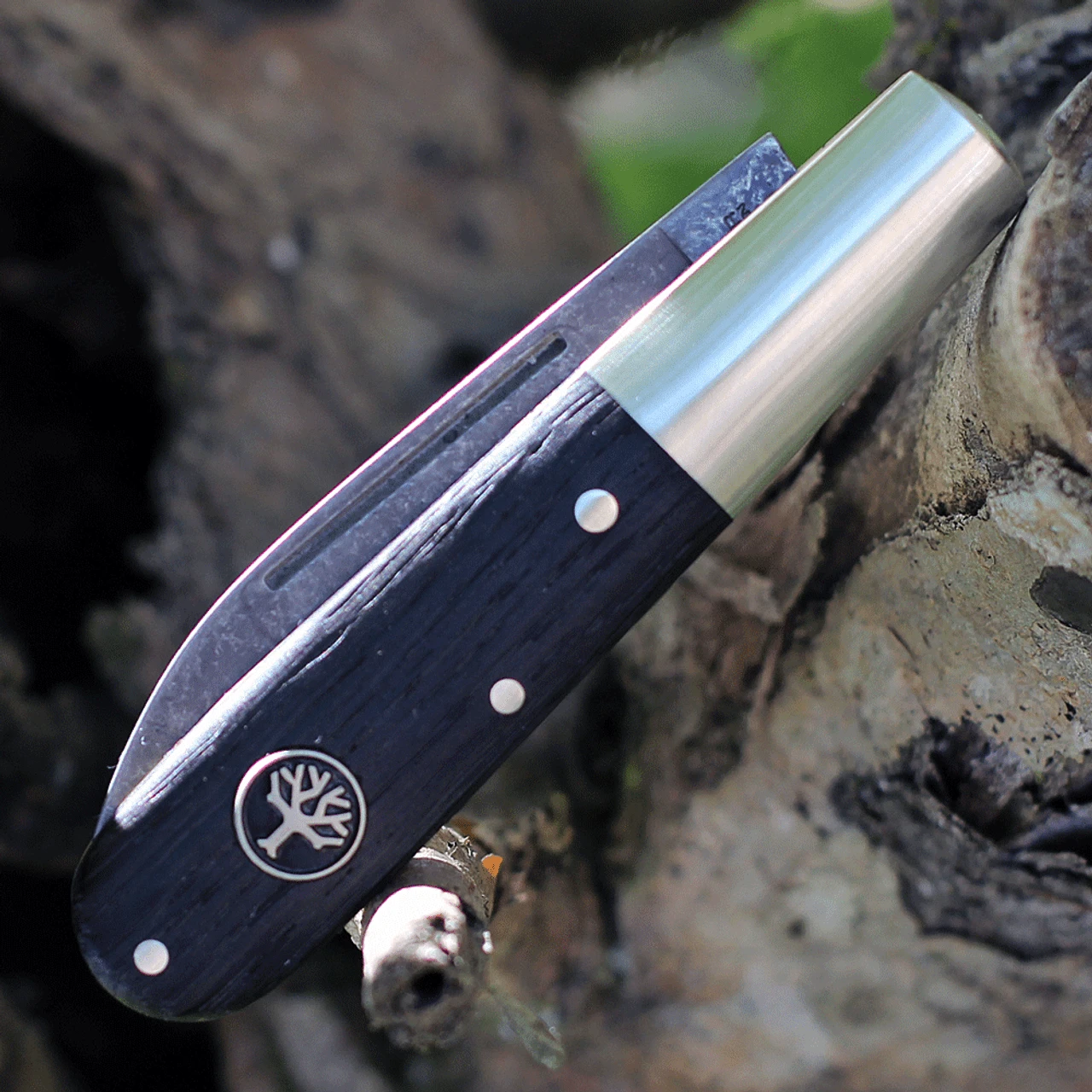 Boker Solingen Oak Tree Barlow 100503, 3.38" C75 Carbon Steel Polished Plain Blade, Bog Oak Wood Handles Boker Solingen Oak Tree Barlow 100503, 3.38" C75 Carbon Steel Polished Plain Blade, Bog Oak Wood Handles -Boker Shop BO100503.2 78432.1625855801