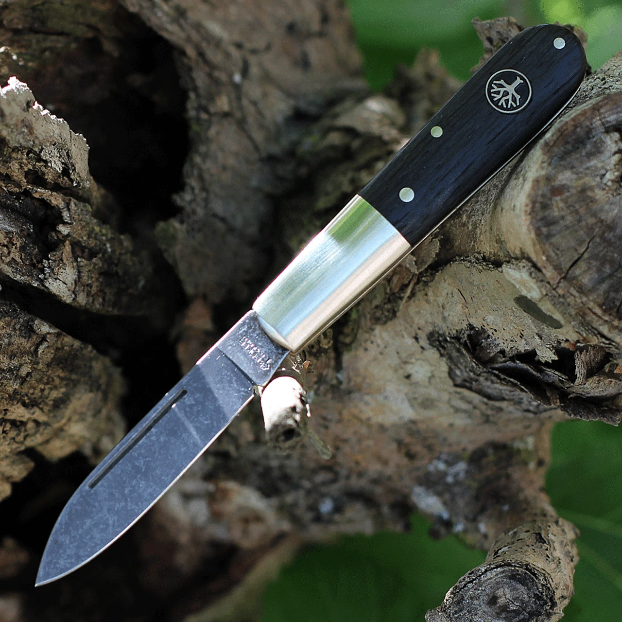 Boker Solingen Oak Tree Barlow 100503, 3.38" C75 Carbon Steel Polished Plain Blade, Bog Oak Wood Handles Boker Solingen Oak Tree Barlow 100503, 3.38" C75 Carbon Steel Polished Plain Blade, Bog Oak Wood Handles -Boker Shop BO100503 18004.1625855801