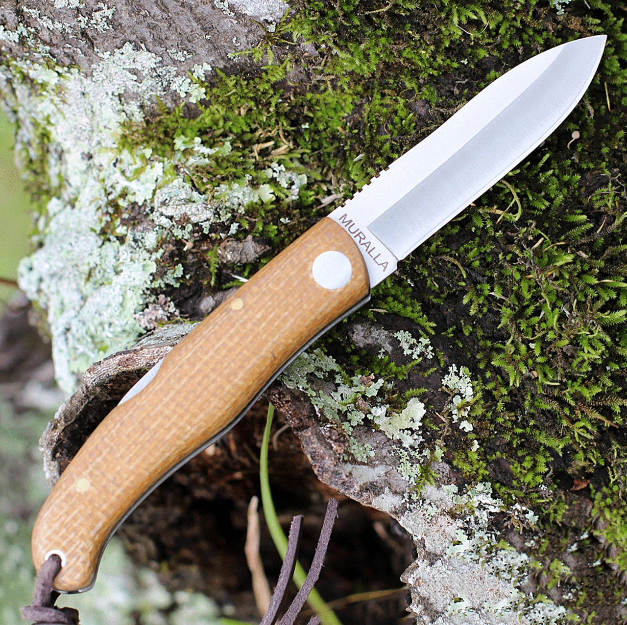 Castillo Knives Muralla Folding Lockback, C2WBM, 3.5" Sandvik 14C28N Plain Blade, Wheat Brown Micarta Handle 2 Castillo Knives Muralla Folding Lockback, C2WBM, 3.5" Sandvik 14C28N Plain Blade, Wheat Brown Micarta Handle - Image 2
