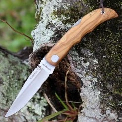 Castillo Knives Castillo Tagus - Olivewood (3.6" 14C28N Satin) C5OLW