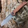 CIVIVI Knives CIVIVI Chevalier-Cuibourtia Wood (3.46" Damascus) C20022-DS1
