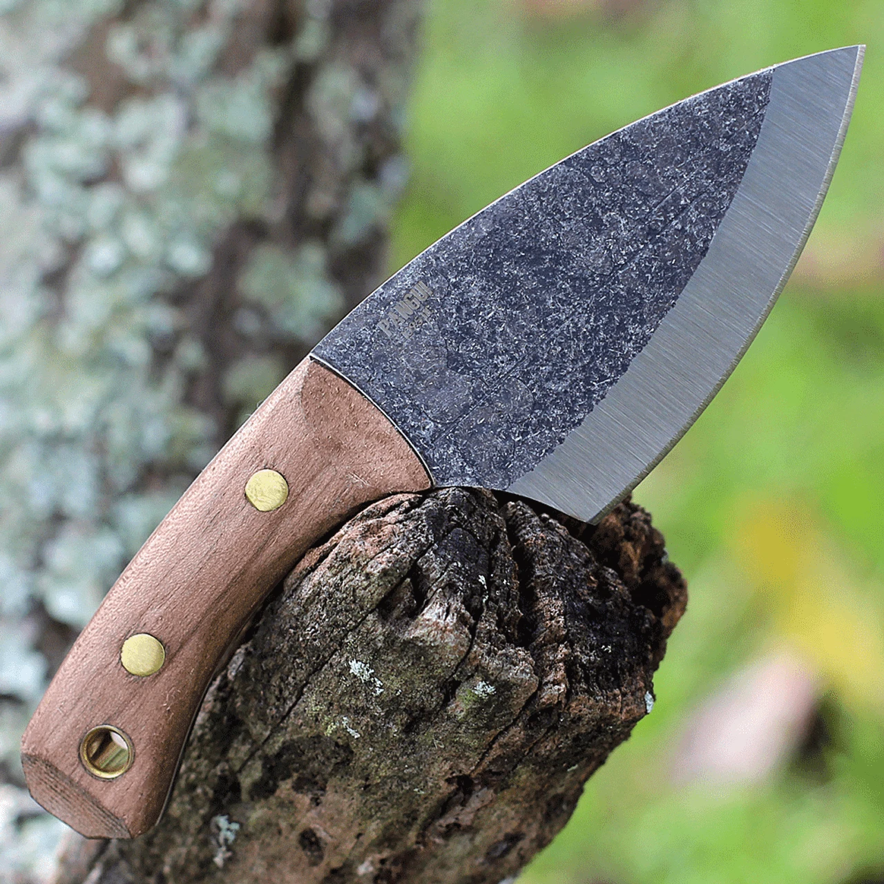 Condor Pangui - Walnut Wood (3.27" 1095) CTK802-3.26HC 2 Condor Pangui - Walnut Wood (3.27" 1095) CTK802-3.26HC - Image 2