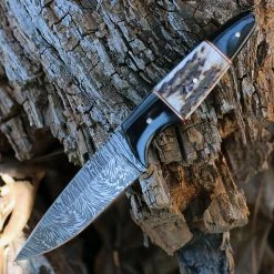 Damascus Blade Knife Damascus Blades - Buffalo/Stag Bone (4.5" Damascus) 1293SG