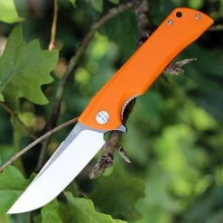 Bestech Paladin BG13C-2, 3.54" D2 Steel Black/Satin Plain Blade, Orange G-10 Handle