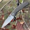 Bestech G04C Warwolf, 3.5" D2 Plain Blade, Army Green G-10 Handle