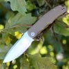 CIVIVI Knives CIVIVI Praxis-Tan G10 (3.75" Satin 9Cr18MoV) C803B