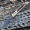 Damascus Blade Knife Damascus 1087 Folder, 3" Damascus Plain Blade, Stag Handle