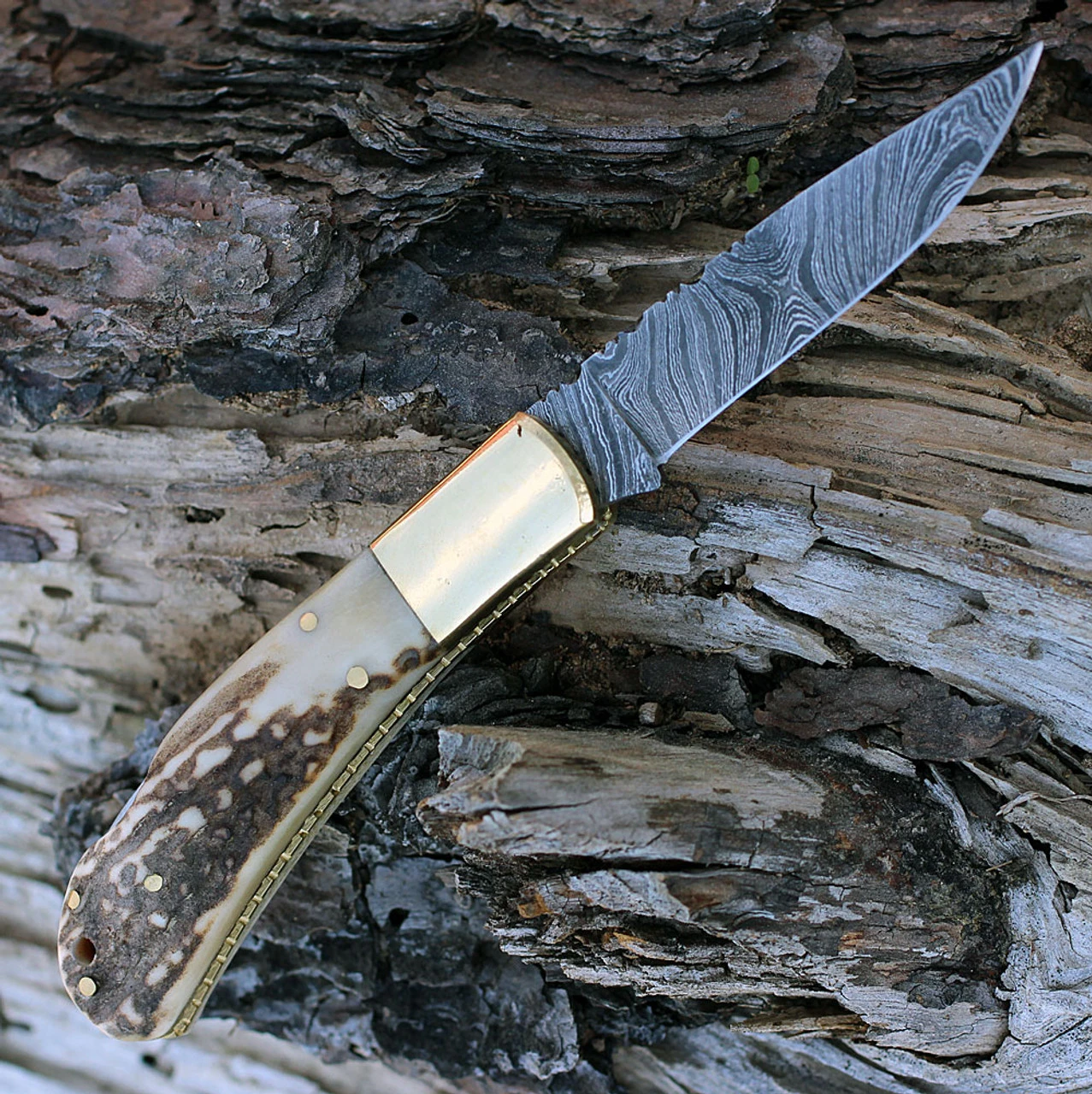 Damascus Blade Knife Damascus 1168 Lockback, 3.25" Damascus Plain Blade, Stag Bone Handle 3 Damascus Blade Knife Damascus 1168 Lockback, 3.25" Damascus Plain Blade, Stag Bone Handle - Image 3
