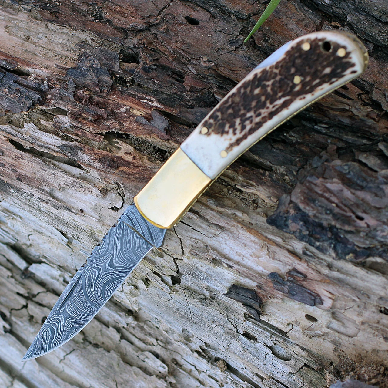 Damascus Blade Knife Damascus 1168 Lockback, 3.25" Damascus Plain Blade, Stag Bone Handle 1 Damascus Blade Knife Damascus 1168 Lockback, 3.25" Damascus Plain Blade, Stag Bone Handle