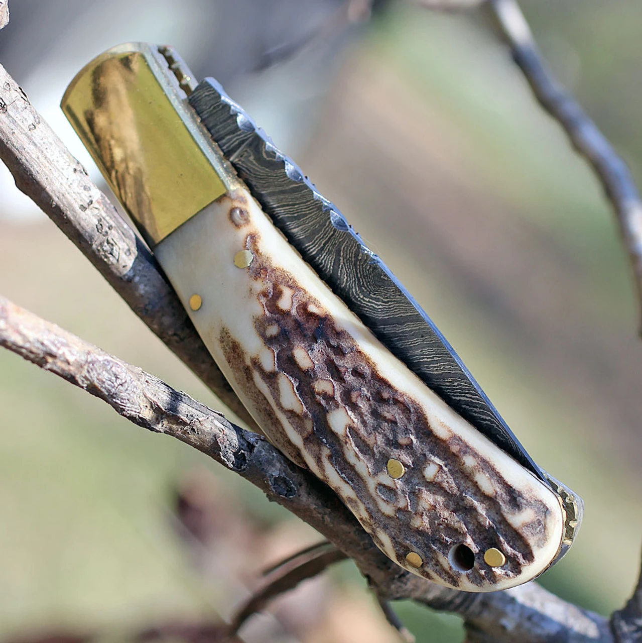 Damascus Blade Knife Damascus 1168 Lockback, 3.25" Damascus Plain Blade, Stag Bone Handle 2 Damascus Blade Knife Damascus 1168 Lockback, 3.25" Damascus Plain Blade, Stag Bone Handle - Image 2