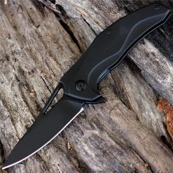 Brous Blades The Exo D2 Black Finish Blade Blackout Titanium Handle Flipper